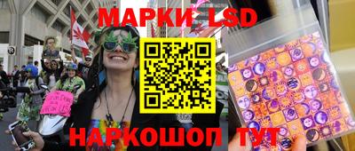 эйфоретик Кимры