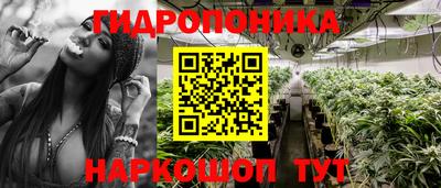 эйфоретик Кимры
