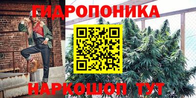 таблы Кингисепп